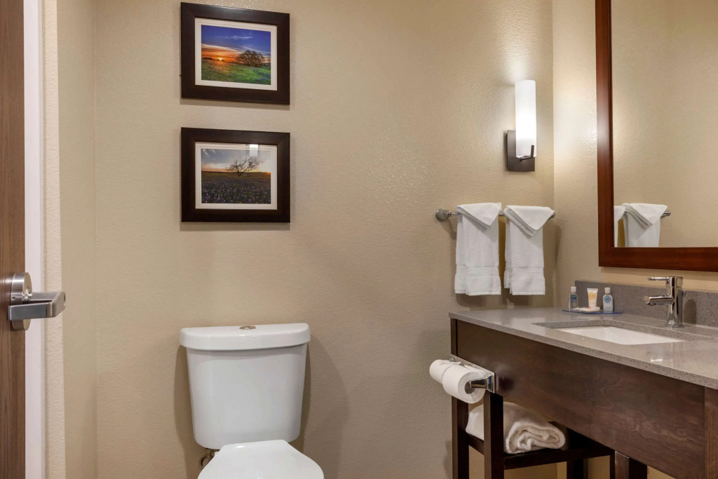 Comfort Inn & Suites Euless DFW West
