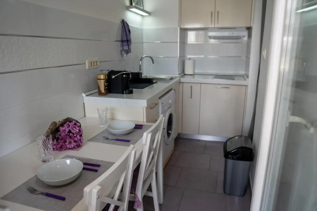 Studio Apartment Vlado