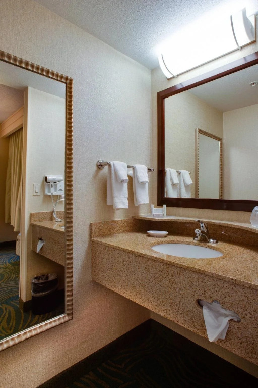 SpringHill Suites by Marriott Savannah I-95 South