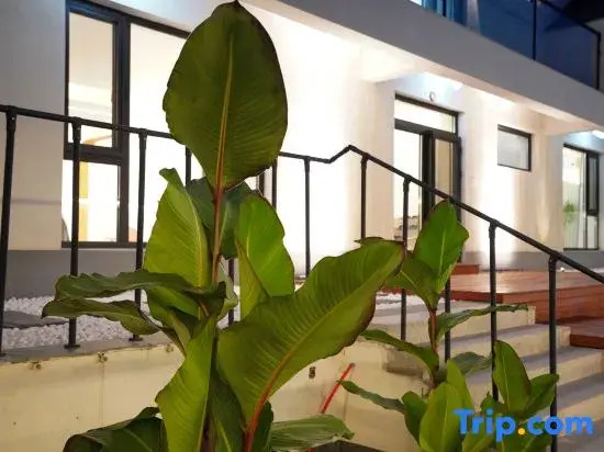 Yunxi Homestay