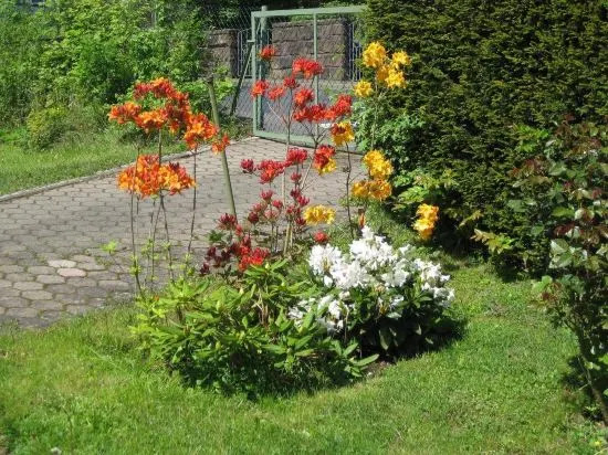 Haus Brand