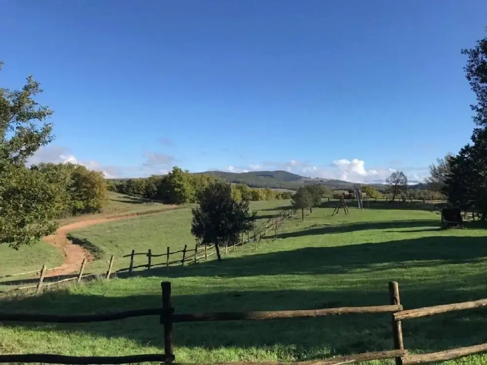 La cristalla