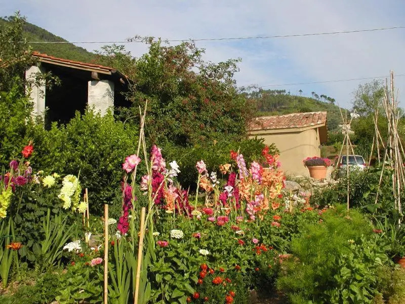 Adorable Tuscan cottage with beautiful garden just outside Lucca, sleeps 4