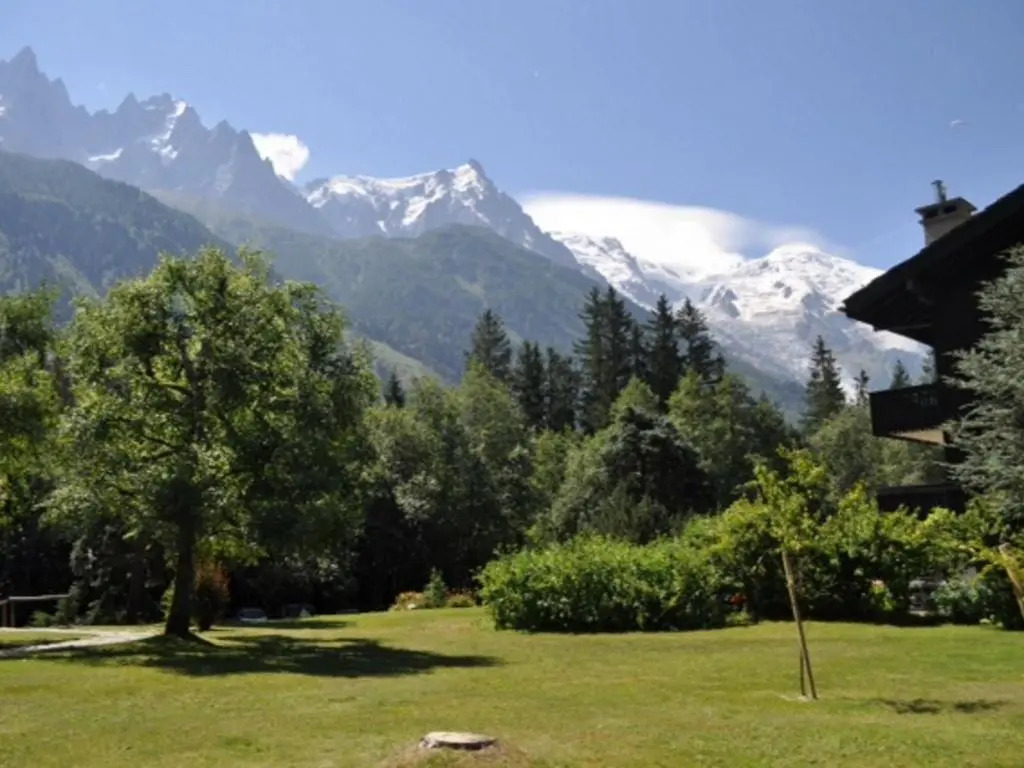 Appartement Chamonix-Mont-Blanc, 2 pièces, 4 personnes - FR-1-517-51