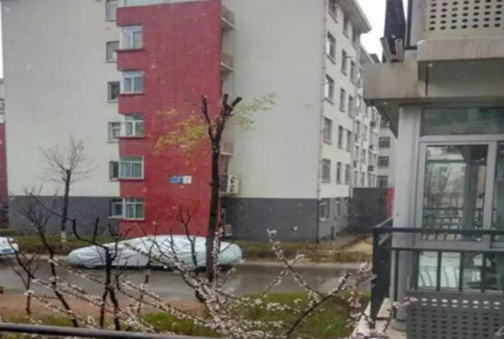 Xiaocheng Guesthouse Century City