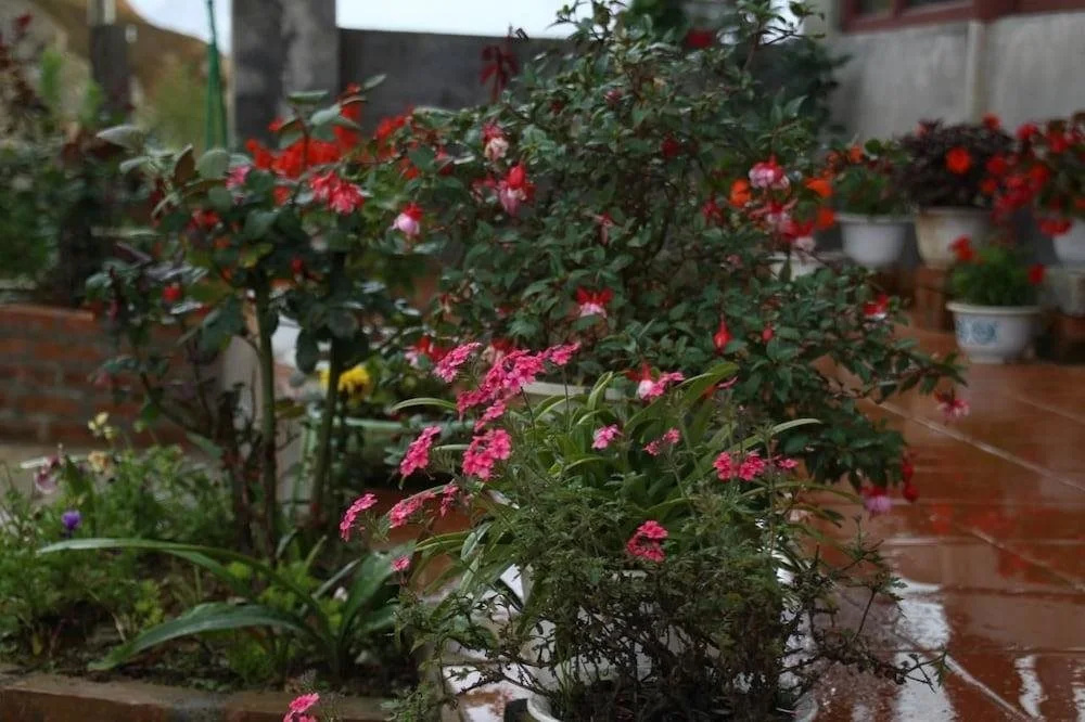 Sapa Maison Homestay