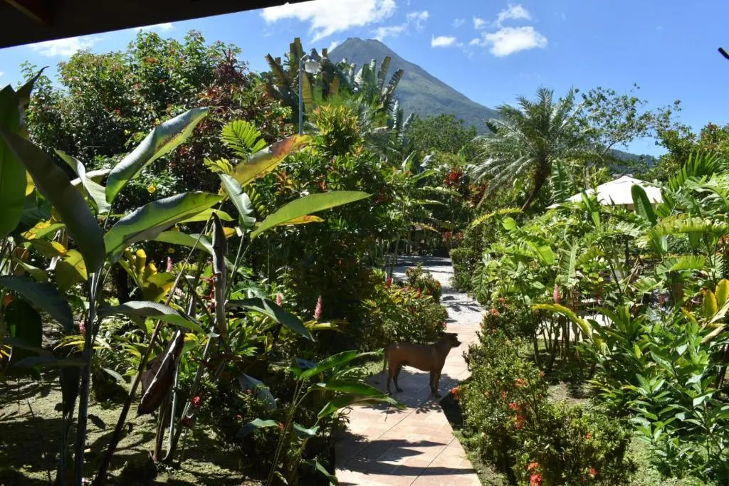 Hotel Roca Negra Del Arenal