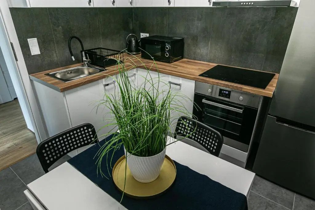 Apartament w centrum V