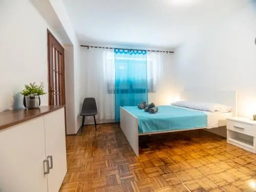Apartment Viki