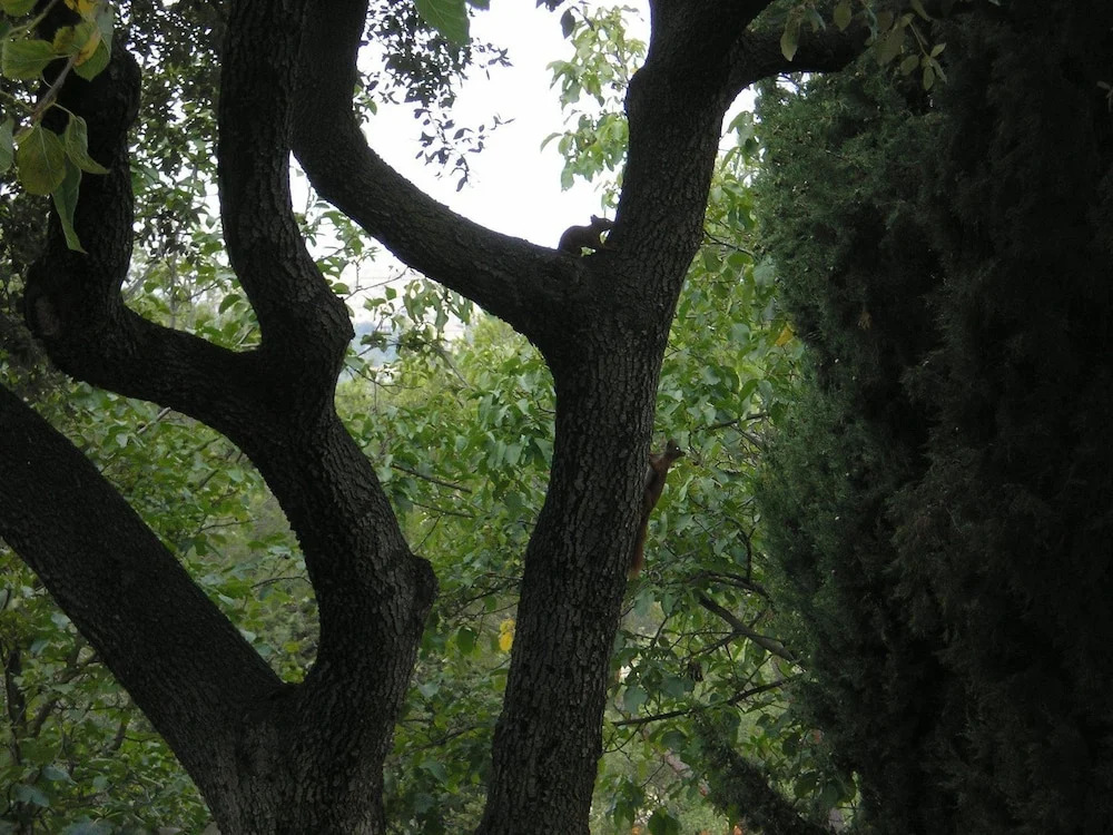 Domaine du Paradis des Oiseaux