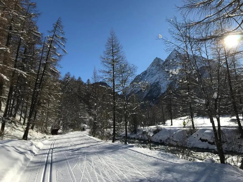 Chalet 12 Cerfs
