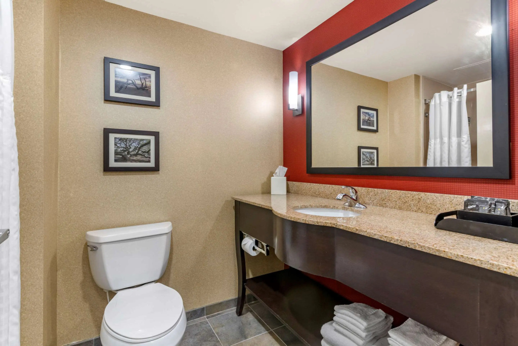 Comfort Suites Florence I-95