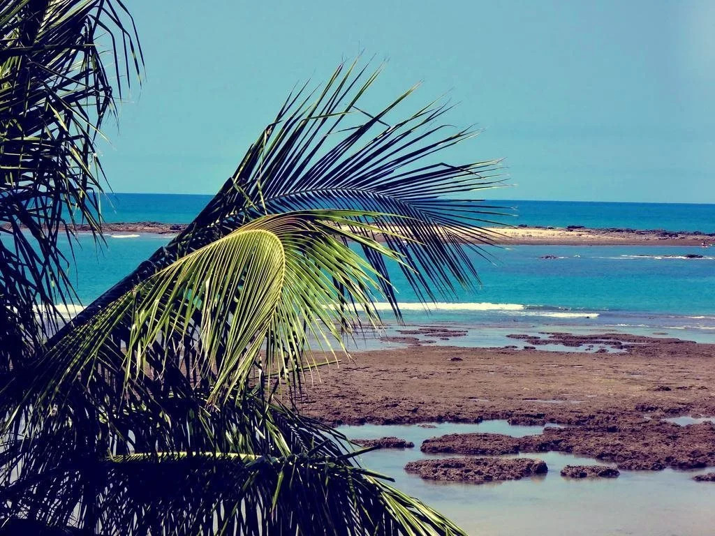 Morro Praia Hotel