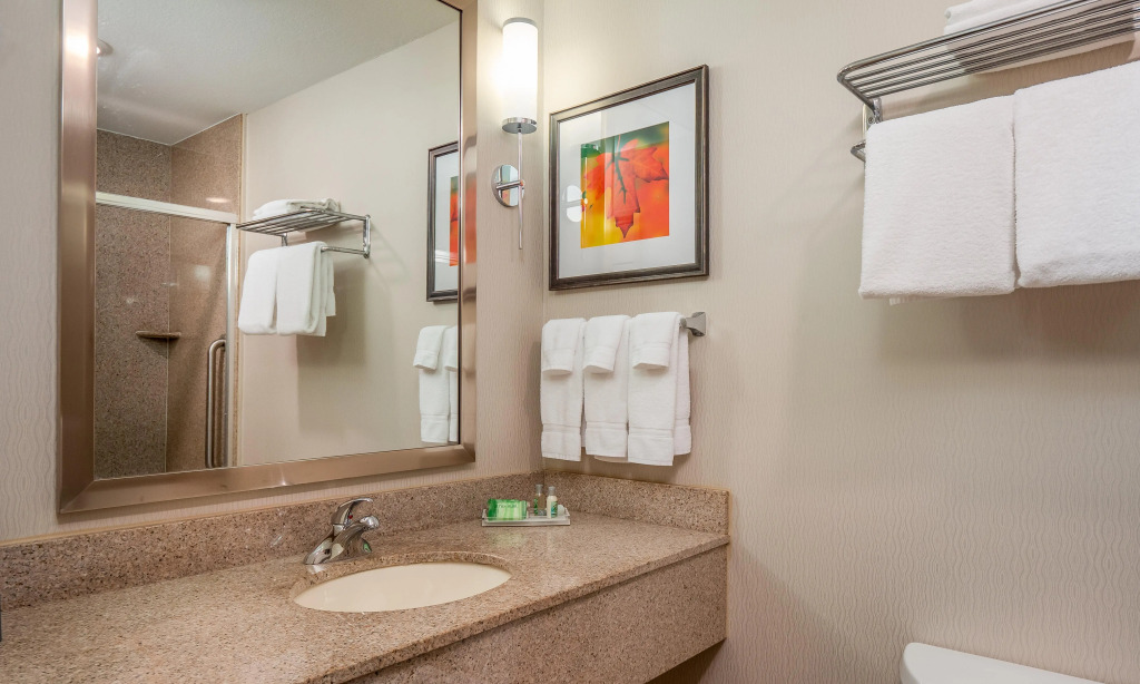 Holiday Inn Stevens Point - Convention Center by IHG