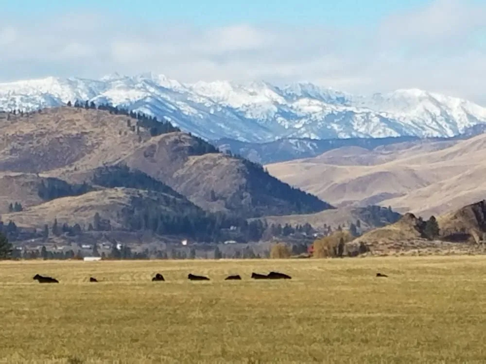 Twisp Terrace Lodge