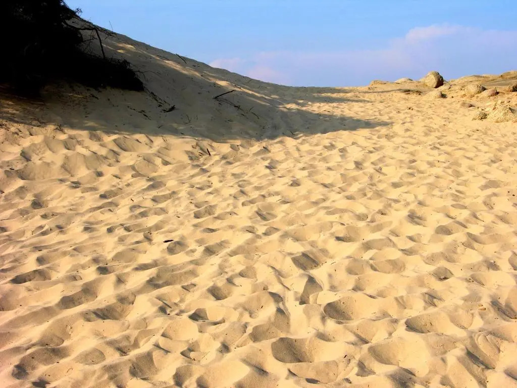Casa Vacanza Appartamenti Al Mare