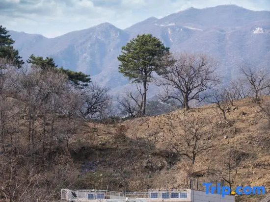 Beijing Yongjie Tongxin Meisu