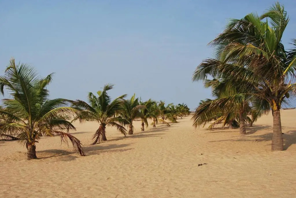 A&Y Wild Camp Ghana