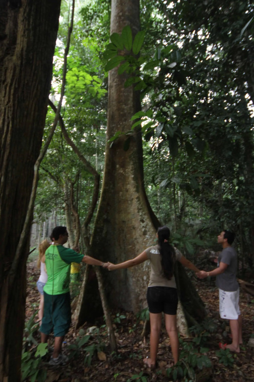 Amazonia Golf Resort By Nobile
