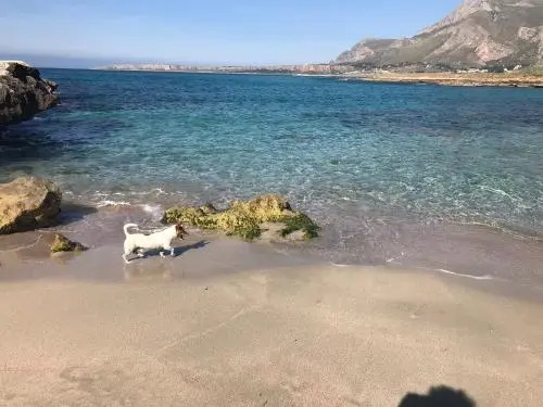 La Terrazza Di San Vito