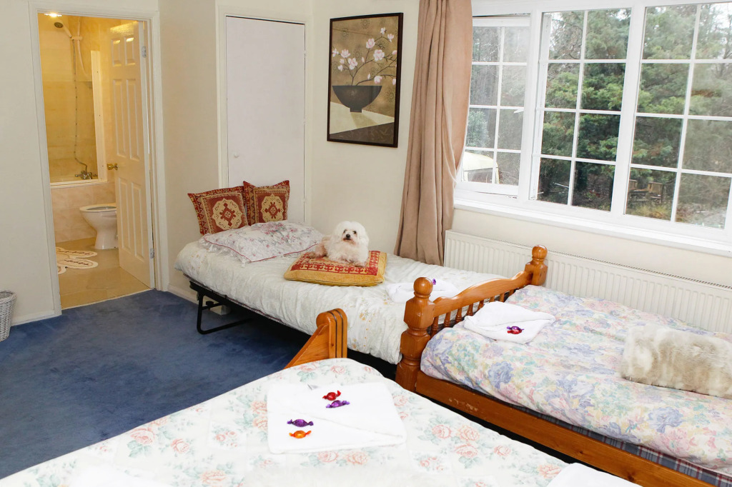 Da Vinci Guest House Gatwick Guest Parking, A Real Gem