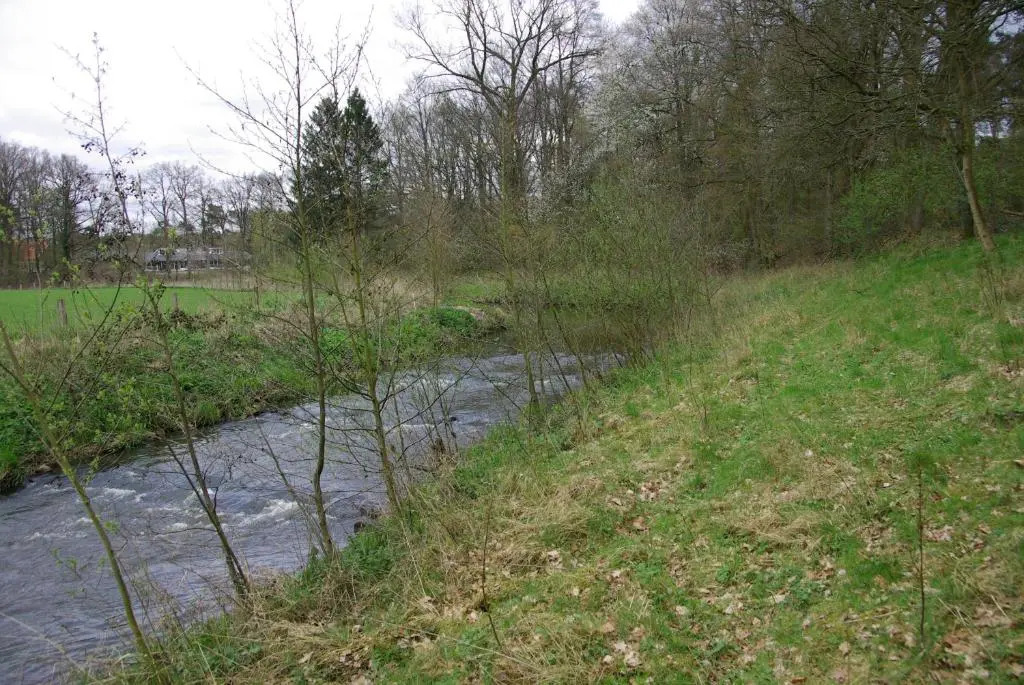 erve Hanebulten