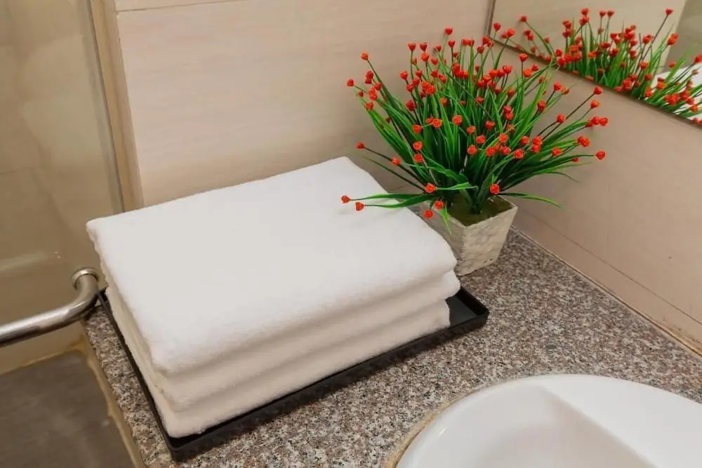 Khách sạn Thế Kỷ Mới