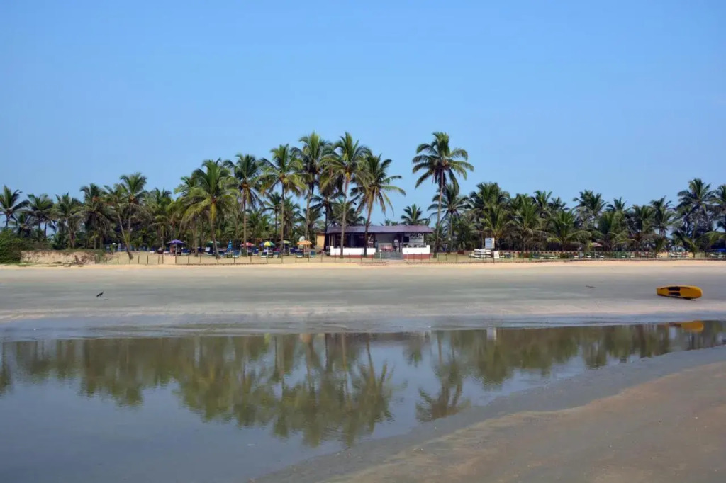 1 BR Guest house in Colva, by GuestHouser (8240)