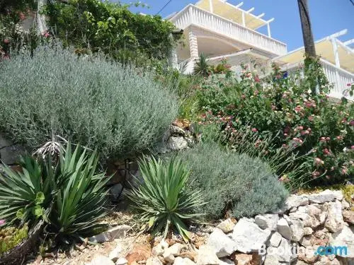 Apartment MORE Island Vis
