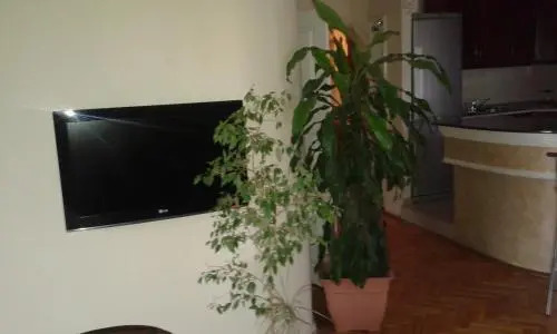 Fis Centar Apartment