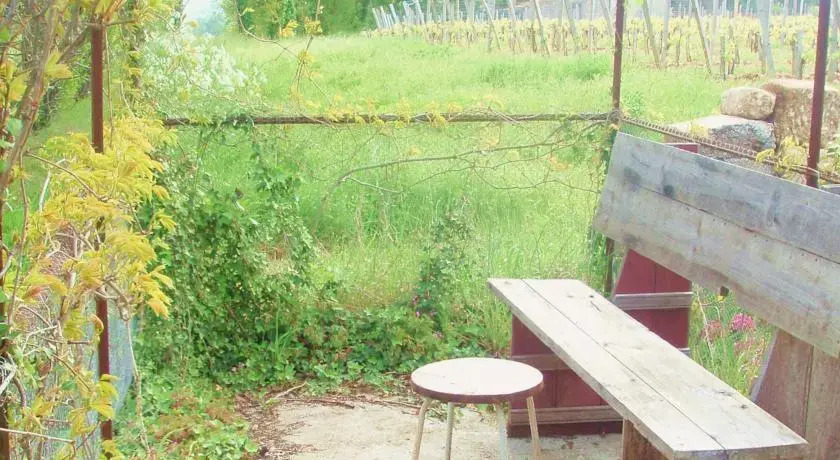 Cabane de Vigne