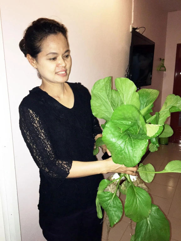 Go Green Resort