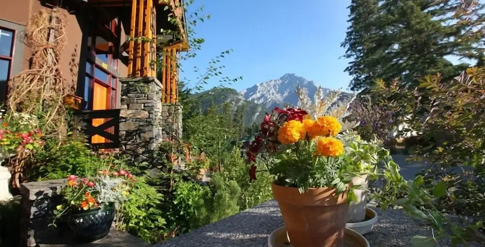Buffaloberry Bed & Breakfast