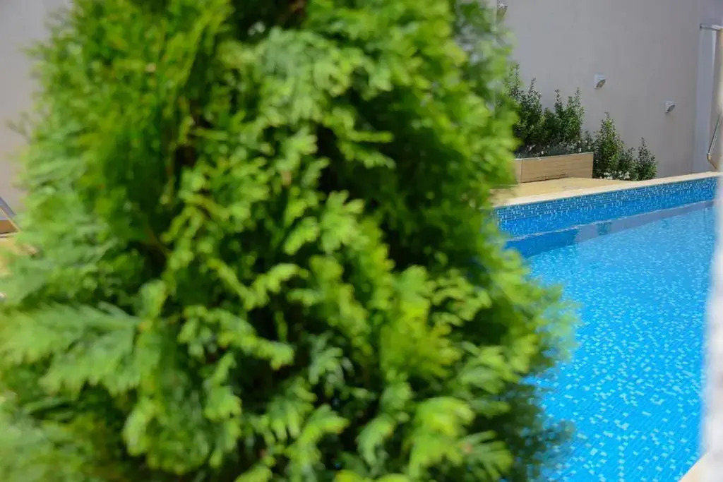 Rusalka Apart-Residence