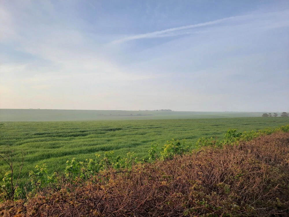 St Margarets 2-Bed Chalet - Sleeps 4 & Pets ok