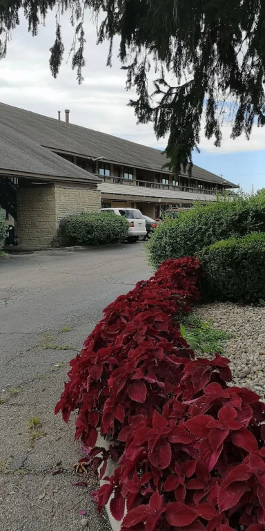 American Value Inn