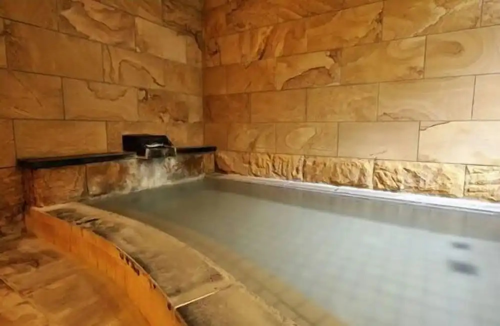 Hakuba Onsen Ryokan Shirouma-so