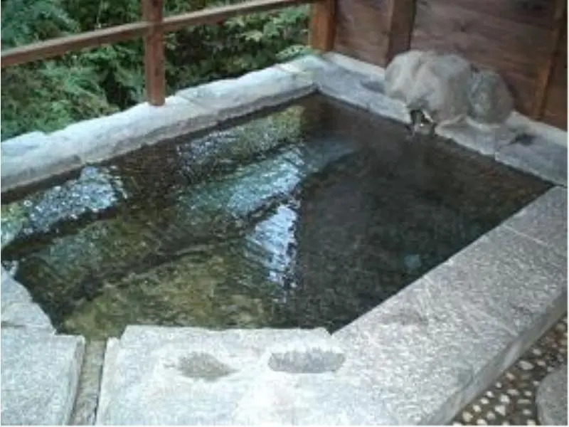 Shin-matsuba Ryokan