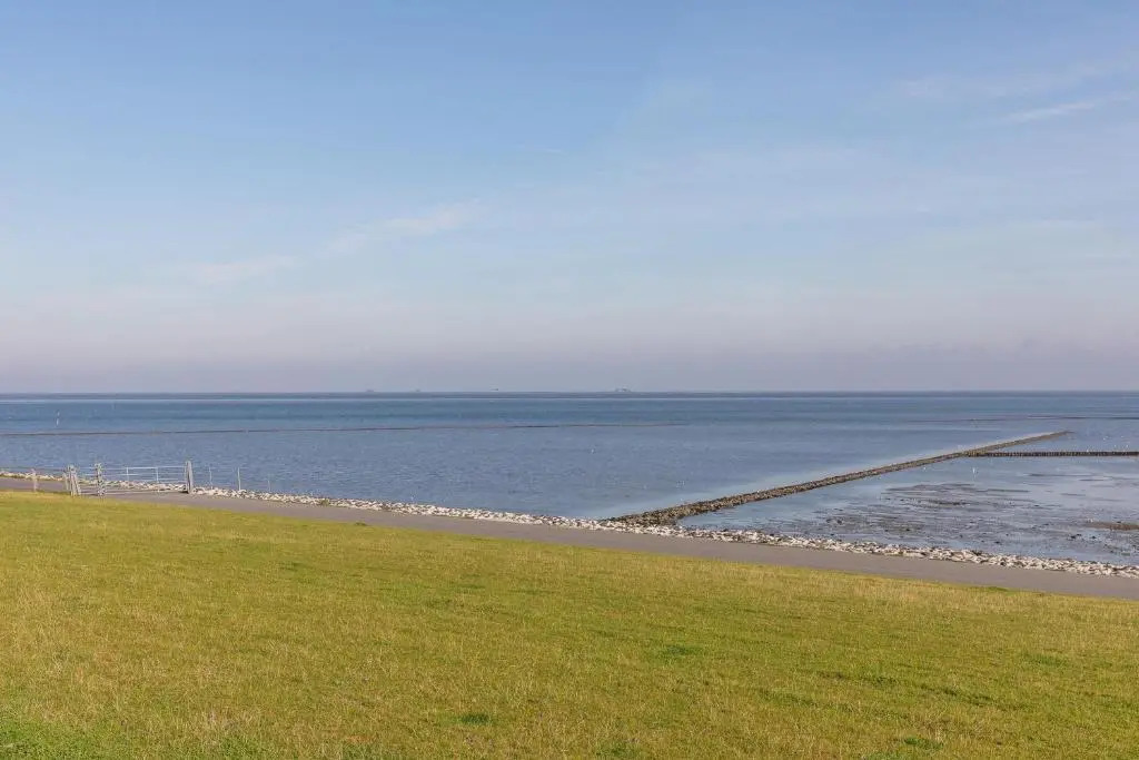 Wat een Blick