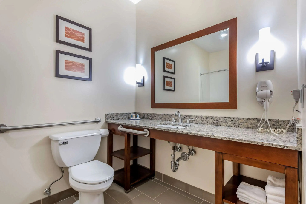 Comfort Inn Apalachin - Binghamton W Route 17