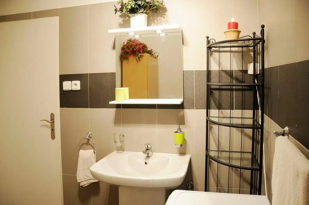 Apartment Romana