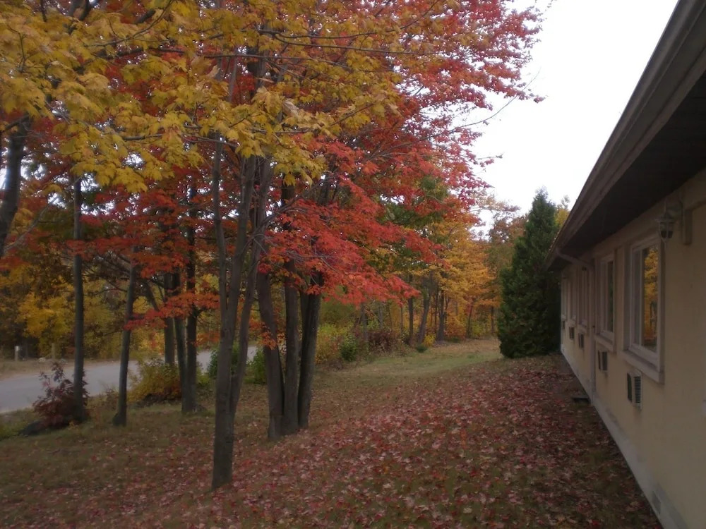Auberge Eldo Inn