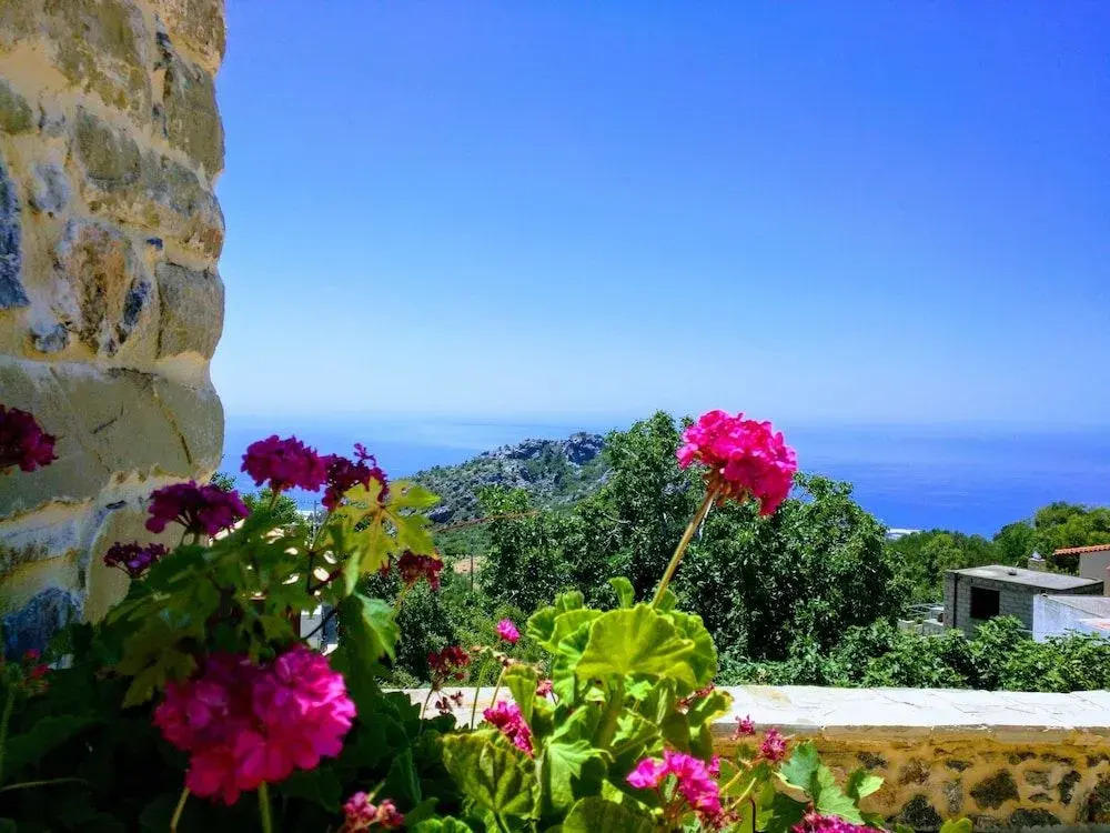 Villa Rosa
