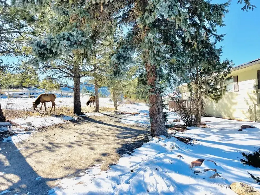 The Lake House - 3 Br Home