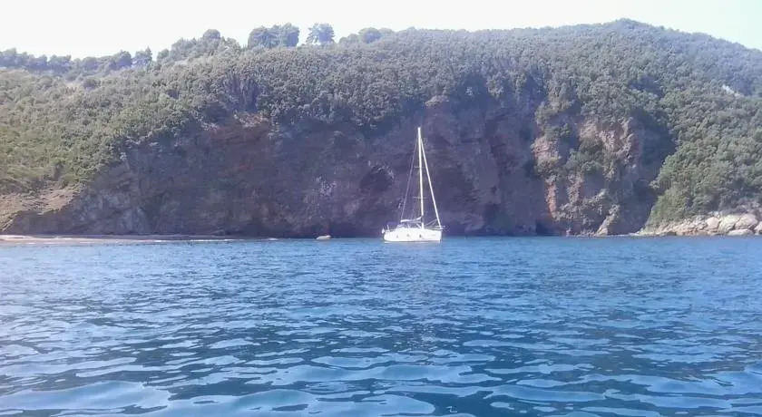 Barca a Vela allisola DElba
