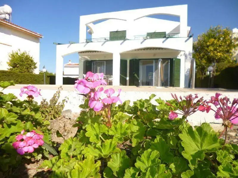 Darcy Villa