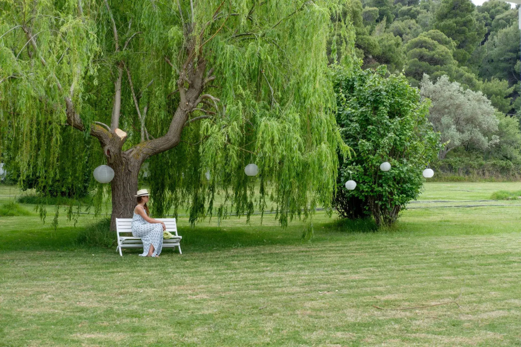Skiathos Holidays Suites & Villas