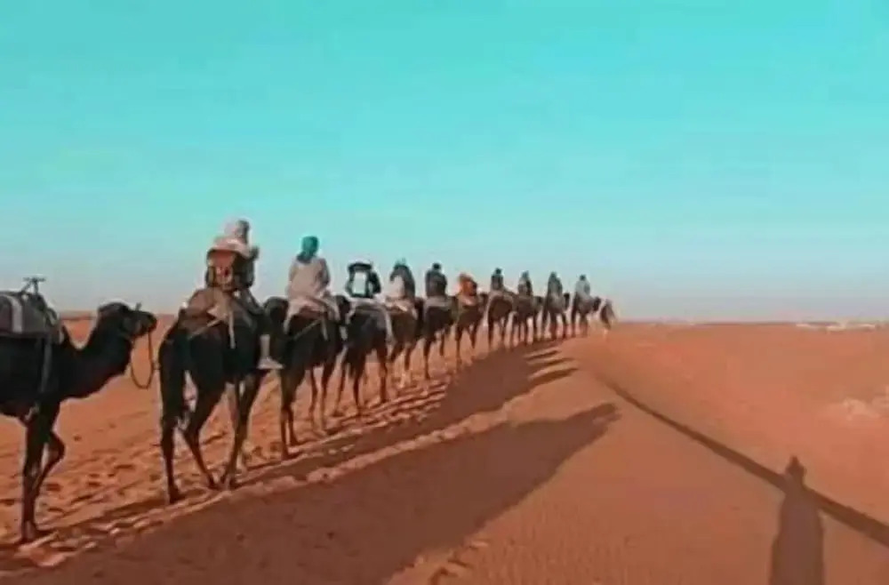 Bihi Desert Camp