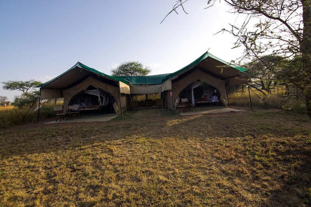 Angata Serengeti