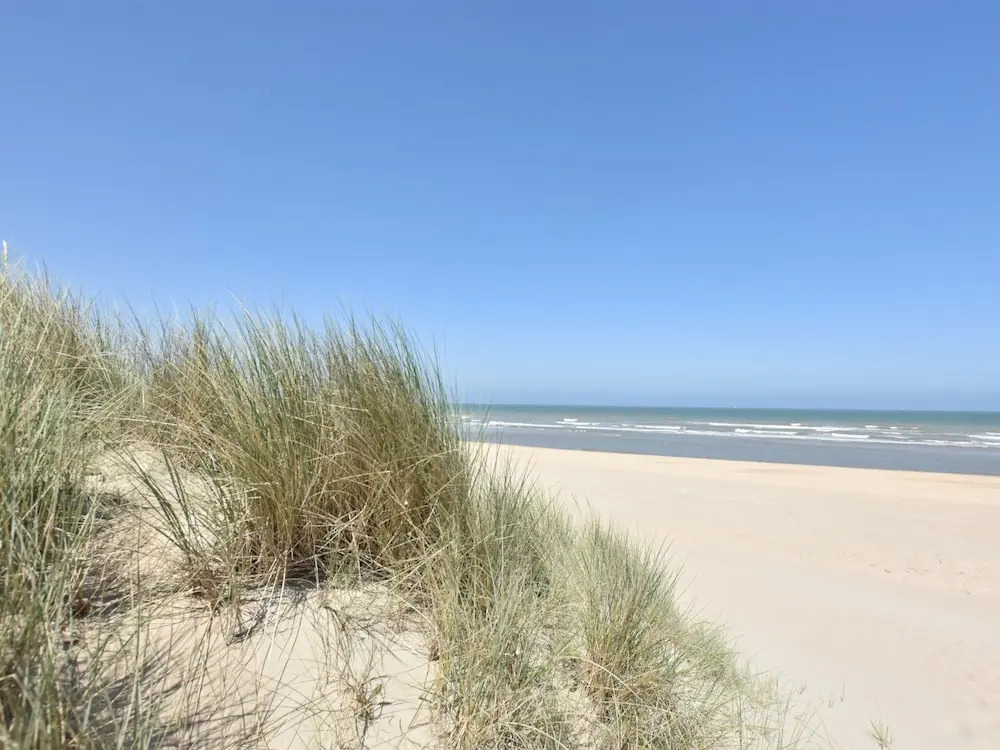 Bright Coastal Family Escape